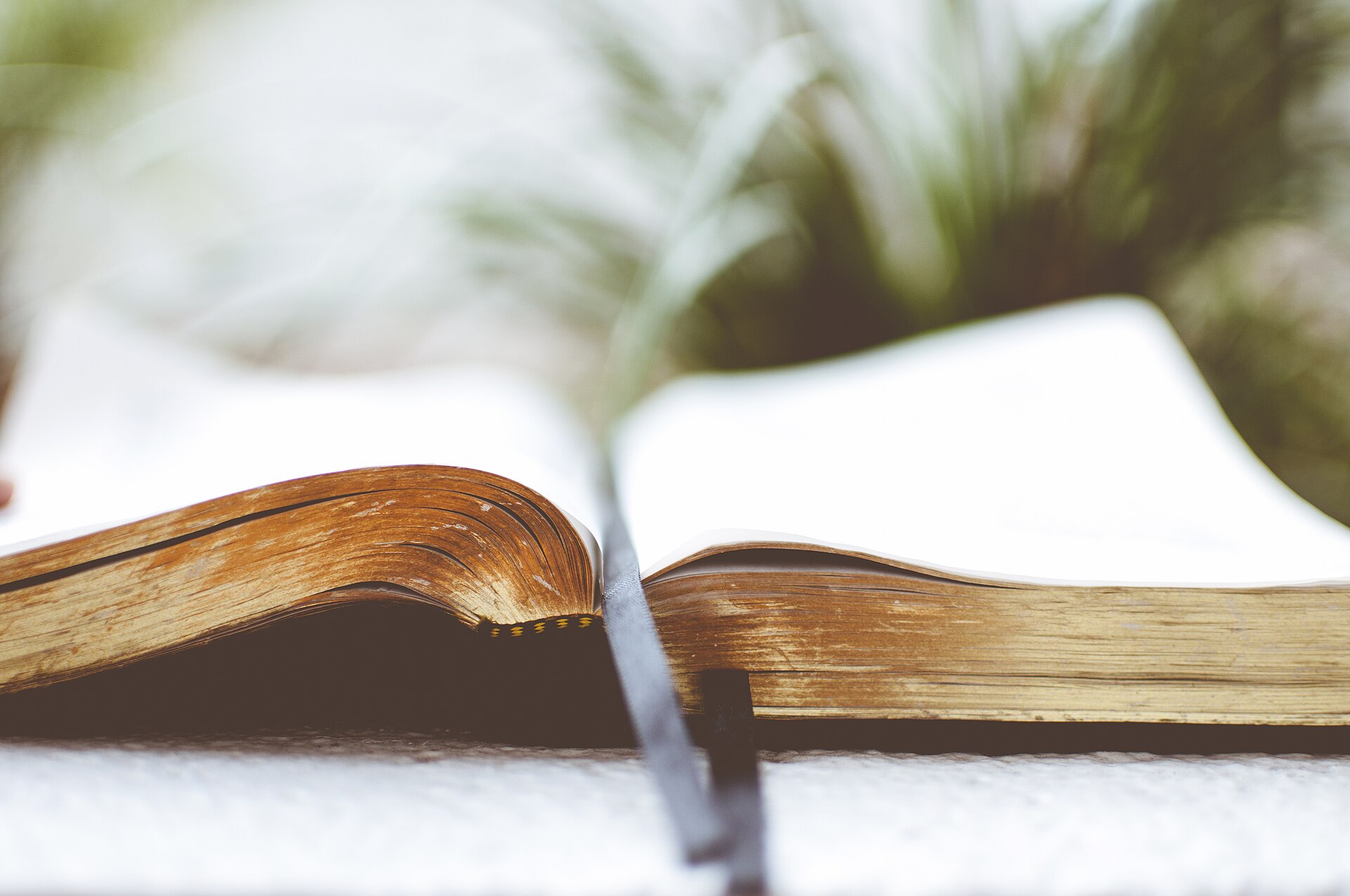 Libro abierto en un ambiente luminoso. Fotografía documental distribuida originalmente mediante Unsplash.